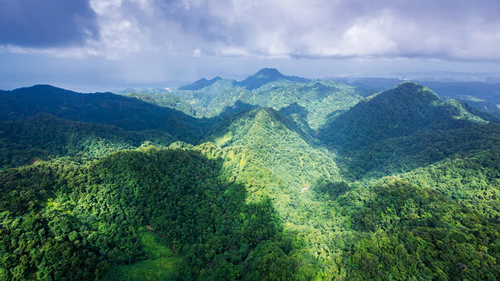 St Lucia's rain forest scenery